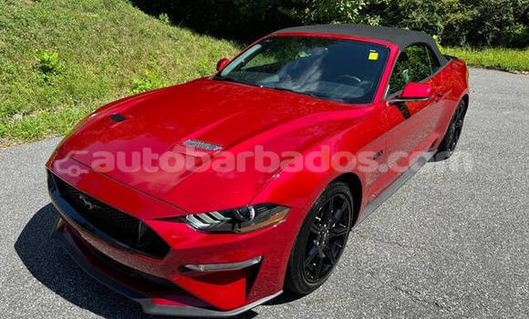 Buy Used Ford Mustang Red Car in Bridgetown in Barbados Buy Used Ford Mustang Red Car in Bridgetown in Barbados