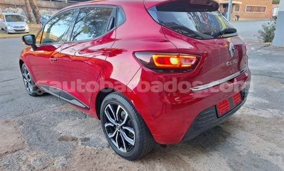 Buy Used Renault Clio Red Car in Bridgetown in Barbados Buy Used Renault Clio Red Car in Bridgetown in Barbados