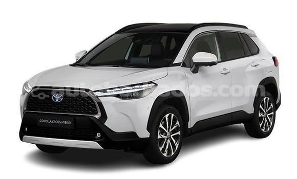 Buy Used Toyota Corolla Cross White Car in Holetown in Barbados Buy Used Toyota Corolla Cross White Car in Holetown in Barbados