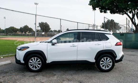 Buy Used Toyota Corolla Cross White Car in Holetown in Barbados Buy Used Toyota Corolla Cross White Car in Holetown in Barbados