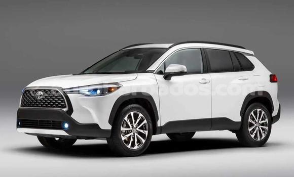 Buy Used Toyota Corolla Cross White Car in Holetown in Barbados Buy Used Toyota Corolla Cross White Car in Holetown in Barbados