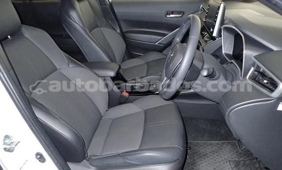 Buy Used Toyota Corolla Cross White Car in Holetown in Barbados Buy Used Toyota Corolla Cross White Car in Holetown in Barbados