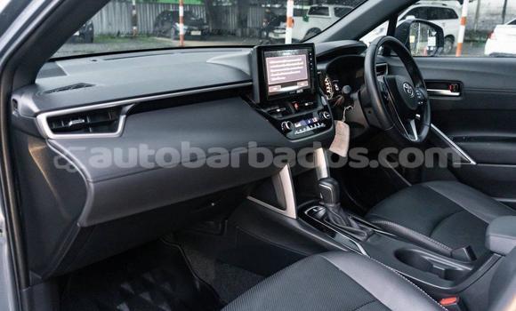 Buy Used Toyota Corolla Cross White Car in Holetown in Barbados Buy Used Toyota Corolla Cross White Car in Holetown in Barbados