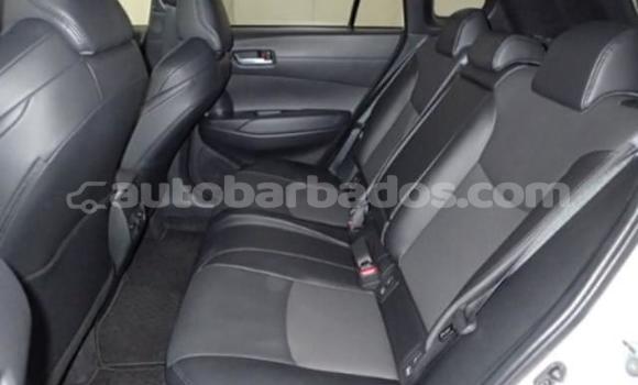 Buy Used Toyota Corolla Cross White Car in Holetown in Barbados Buy Used Toyota Corolla Cross White Car in Holetown in Barbados