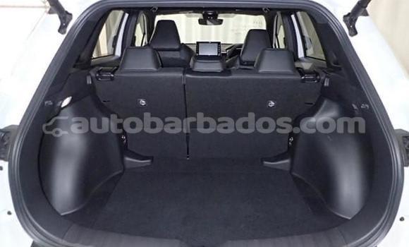 Buy Used Toyota Corolla Cross White Car in Holetown in Barbados Buy Used Toyota Corolla Cross White Car in Holetown in Barbados