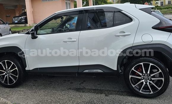 Buy Used Toyota Yaris White Car in Crane in Barbados Buy Used Toyota Yaris White Car in Crane in Barbados