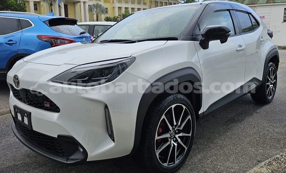 Buy Used Toyota Yaris White Car in Crane in Barbados Buy Used Toyota Yaris White Car in Crane in Barbados