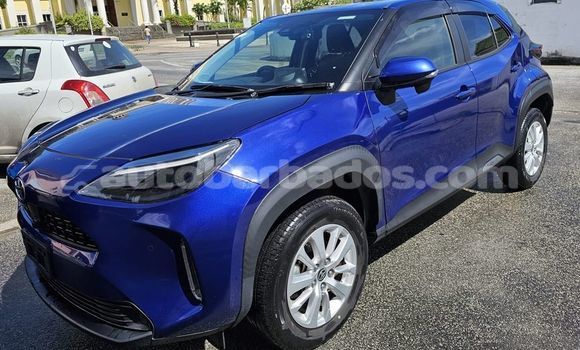 Buy Used Toyota Yaris Blue Car in Bridgetown in Barbados Buy Used Toyota Yaris Blue Car in Bridgetown in Barbados