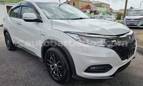 Buy Used Honda Vezel White Car in Hillaby in Barbados