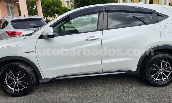 Buy Used Honda Vezel White Car in Hillaby in Barbados Buy Used Honda Vezel White Car in Hillaby in Barbados