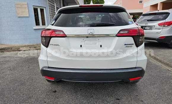 Buy Used Honda Vezel White Car in Hillaby in Barbados Buy Used Honda Vezel White Car in Hillaby in Barbados