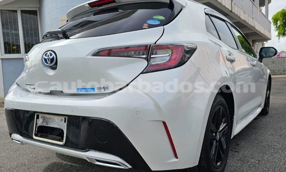 Buy Used Toyota Corolla White Car in Bridgetown in Barbados Buy Used Toyota Corolla White Car in Bridgetown in Barbados