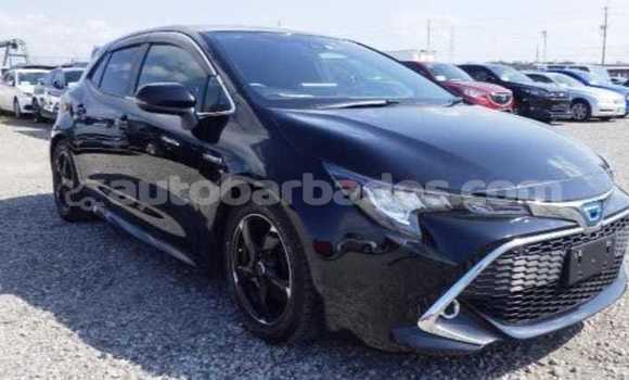 Buy Used Toyota Corolla Black Car in Crane in Barbados Buy Used Toyota Corolla Black Car in Crane in Barbados