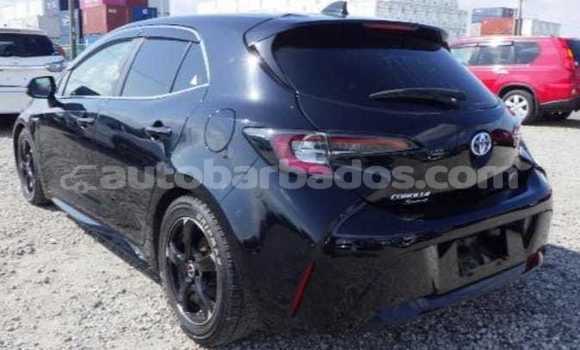 Buy Used Toyota Corolla Black Car in Crane in Barbados Buy Used Toyota Corolla Black Car in Crane in Barbados