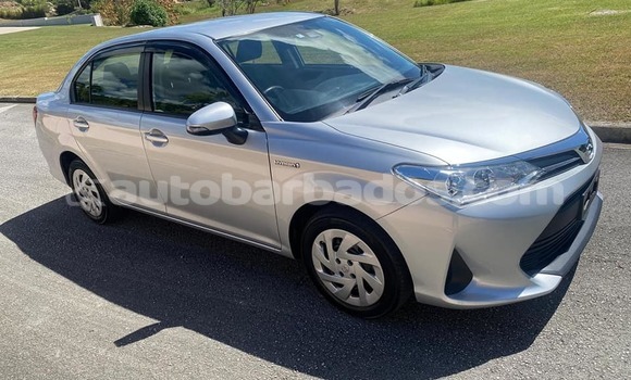 Buy Used Toyota Axio Other Car in Crab Hill in Barbados Buy Used Toyota Axio Other Car in Crab Hill in Barbados