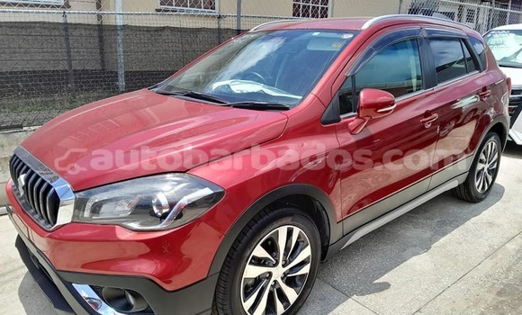 Buy Used Suzuki SX4 Red Car in Crane in Barbados Buy Used Suzuki SX4 Red Car in Crane in Barbados