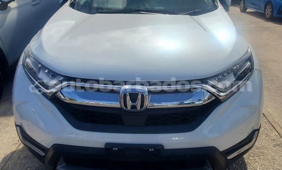 Buy Used Honda CR–V White Car in Crane in Barbados
