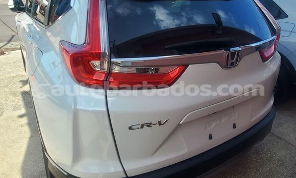 Buy Used Honda CR–V White Car in Crane in Barbados Buy Used Honda CR–V White Car in Crane in Barbados