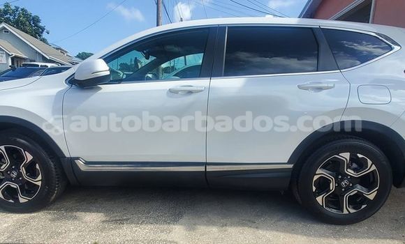 Buy Used Honda CR–V White Car in Crane in Barbados Buy Used Honda CR–V White Car in Crane in Barbados
