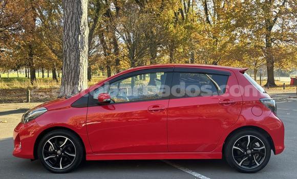 Buy Used Toyota Vitz Red Car in Holetown in Barbados Buy Used Toyota Vitz Red Car in Holetown in Barbados