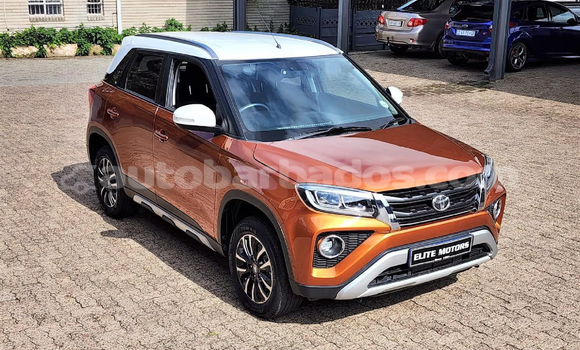 Buy Used Toyota Urban Cruiser Other Car in Bridgetown in Barbados Buy Used Toyota Urban Cruiser Other Car in Bridgetown in Barbados