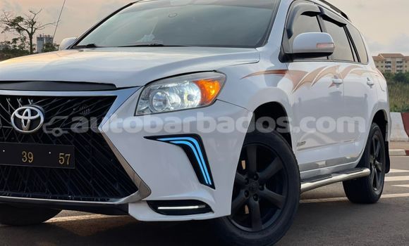 Buy Used Toyota RAV4 White Car in Bridgetown in Barbados Buy Used Toyota RAV4 White Car in Bridgetown in Barbados