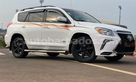 Buy Used Toyota RAV4 White Car in Bridgetown in Barbados Buy Used Toyota RAV4 White Car in Bridgetown in Barbados