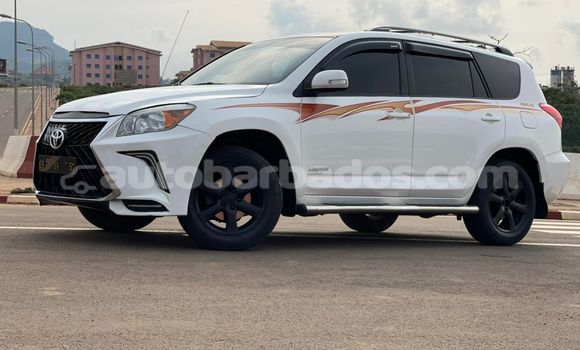 Buy Used Toyota RAV4 White Car in Bridgetown in Barbados Buy Used Toyota RAV4 White Car in Bridgetown in Barbados
