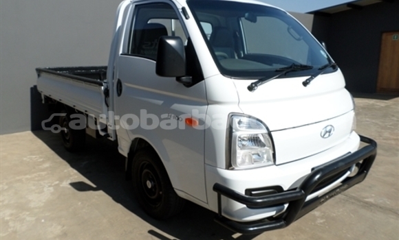 Buy Used Hyundai H200 White Car in Bridgetown in Barbados Buy Used Hyundai H200 White Car in Bridgetown in Barbados