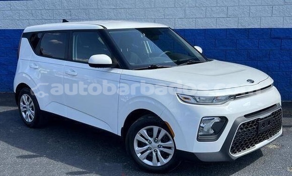 Buy Used Kia Soul White Car in Bridgetown in Barbados