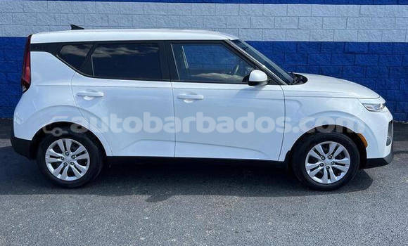 Buy Used Kia Soul White Car in Bridgetown in Barbados Buy Used Kia Soul White Car in Bridgetown in Barbados