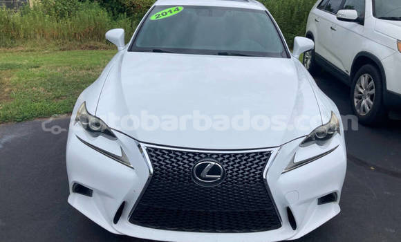 Buy Used Lexus IS 300 White Car in Bridgetown in Barbados Buy Used Lexus IS 300 White Car in Bridgetown in Barbados