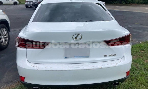 Buy Used Lexus IS 300 White Car in Bridgetown in Barbados Buy Used Lexus IS 300 White Car in Bridgetown in Barbados