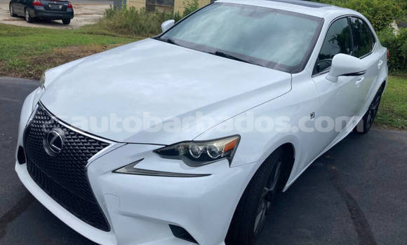 Buy Used Lexus IS 300 White Car in Bridgetown in Barbados Buy Used Lexus IS 300 White Car in Bridgetown in Barbados