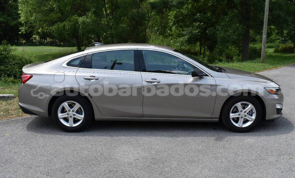 Buy Used Chevrolet Malibu Other Car in Bridgetown in Barbados Buy Used Chevrolet Malibu Other Car in Bridgetown in Barbados