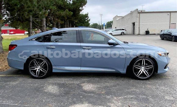 Buy Used Honda Accord Other Car in Bridgetown in Barbados Buy Used Honda Accord Other Car in Bridgetown in Barbados