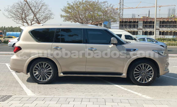 Buy Used Infiniti QX80 Other Car in Bridgetown in Barbados Buy Used Infiniti QX80 Other Car in Bridgetown in Barbados