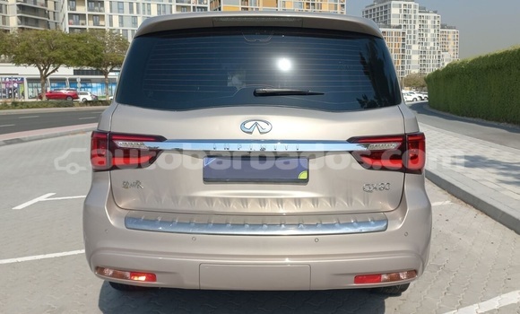 Buy Used Infiniti QX80 Other Car in Bridgetown in Barbados Buy Used Infiniti QX80 Other Car in Bridgetown in Barbados