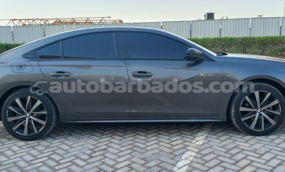 Buy Used Peugeot 508 Other Car in Bridgetown in Barbados Buy Used Peugeot 508 Other Car in Bridgetown in Barbados