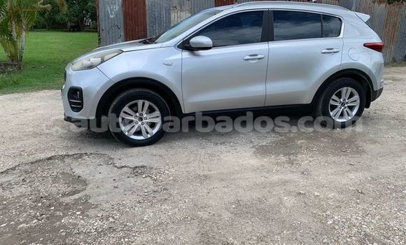 Buy Used Kia Sportage Other Car in Bridgetown in Barbados Buy Used Kia Sportage Other Car in Bridgetown in Barbados