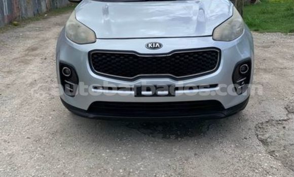 Buy Used Kia Sportage Other Car in Bridgetown in Barbados Buy Used Kia Sportage Other Car in Bridgetown in Barbados