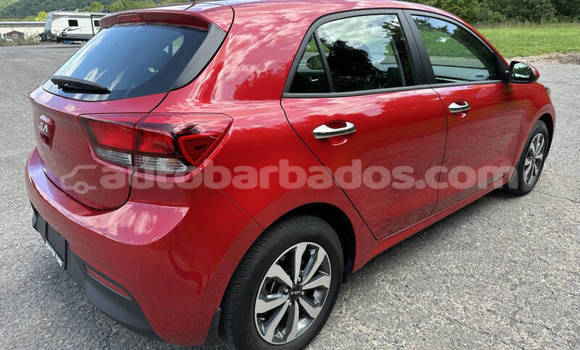 Buy Used Kia Rio Red Car in Bridgetown in Barbados Buy Used Kia Rio Red Car in Bridgetown in Barbados