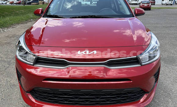 Buy Used Kia Rio Red Car in Bridgetown in Barbados Buy Used Kia Rio Red Car in Bridgetown in Barbados