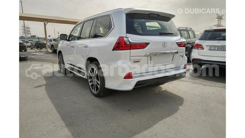 Big with watermark ba81e968 f200 474b af70 3fe62ca2b1bf