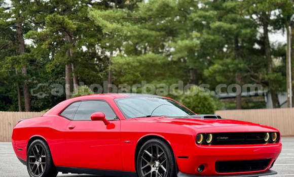 Buy Used Dodge Challenger Red Car in Bridgetown in Barbados Buy Used Dodge Challenger Red Car in Bridgetown in Barbados