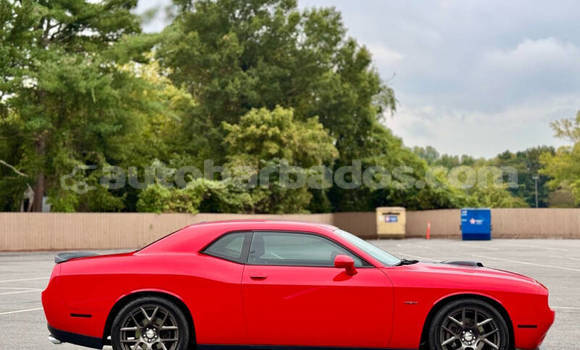 Buy Used Dodge Challenger Red Car in Bridgetown in Barbados Buy Used Dodge Challenger Red Car in Bridgetown in Barbados
