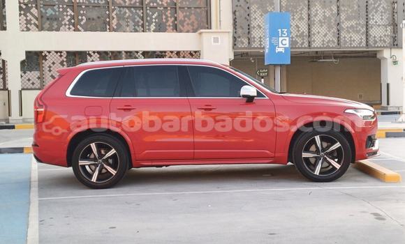 Buy Used Volvo XC90 Red Car in Bridgetown in Barbados Buy Used Volvo XC90 Red Car in Bridgetown in Barbados