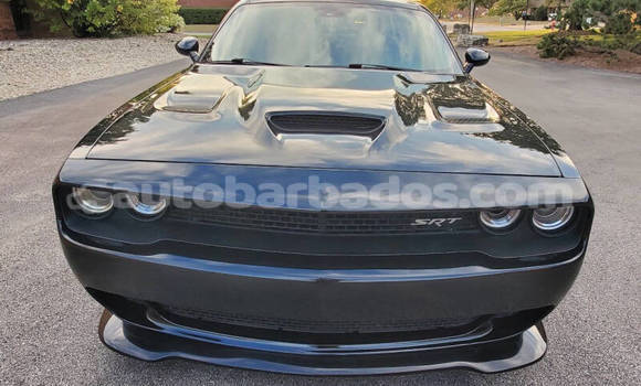 Buy Used Dodge Challenger Black Car in Bridgetown in Barbados Buy Used Dodge Challenger Black Car in Bridgetown in Barbados