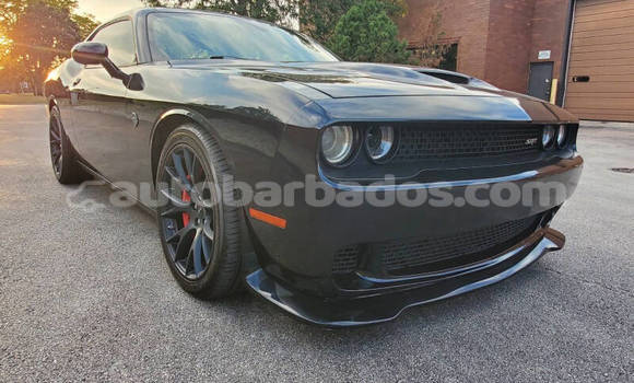 Buy Used Dodge Challenger Black Car in Bridgetown in Barbados Buy Used Dodge Challenger Black Car in Bridgetown in Barbados