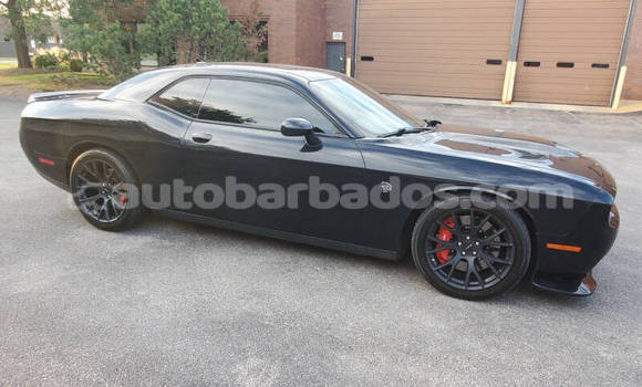 Buy Used Dodge Challenger Black Car in Bridgetown in Barbados Buy Used Dodge Challenger Black Car in Bridgetown in Barbados